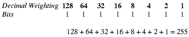 247 in binary